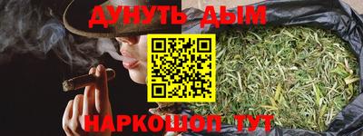 стафф Дубна